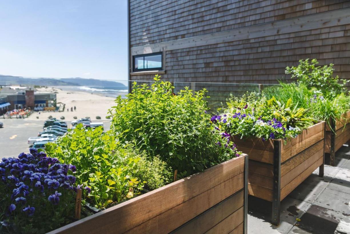 Headlands Coastal Lodge & Spa Пасифик-Сити Экстерьер фото